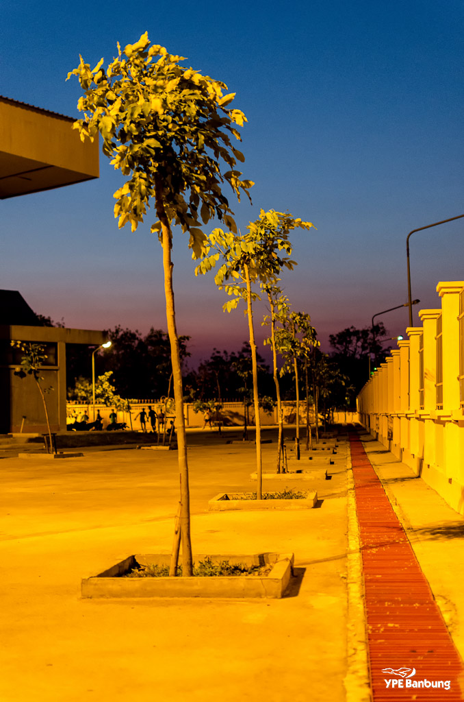 night-6.jpg