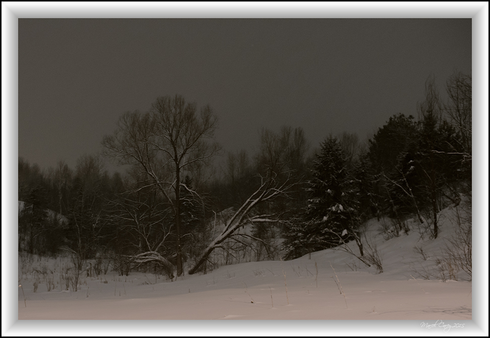 night in the field.jpg