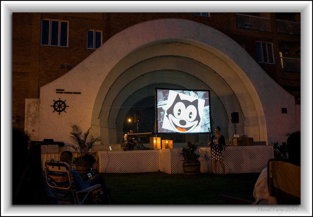 night projection.jpg