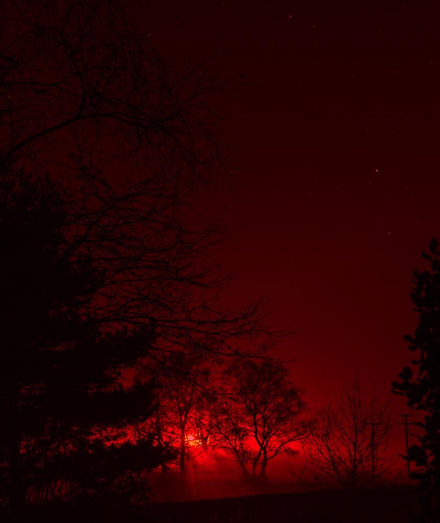 night-shadow.jpg