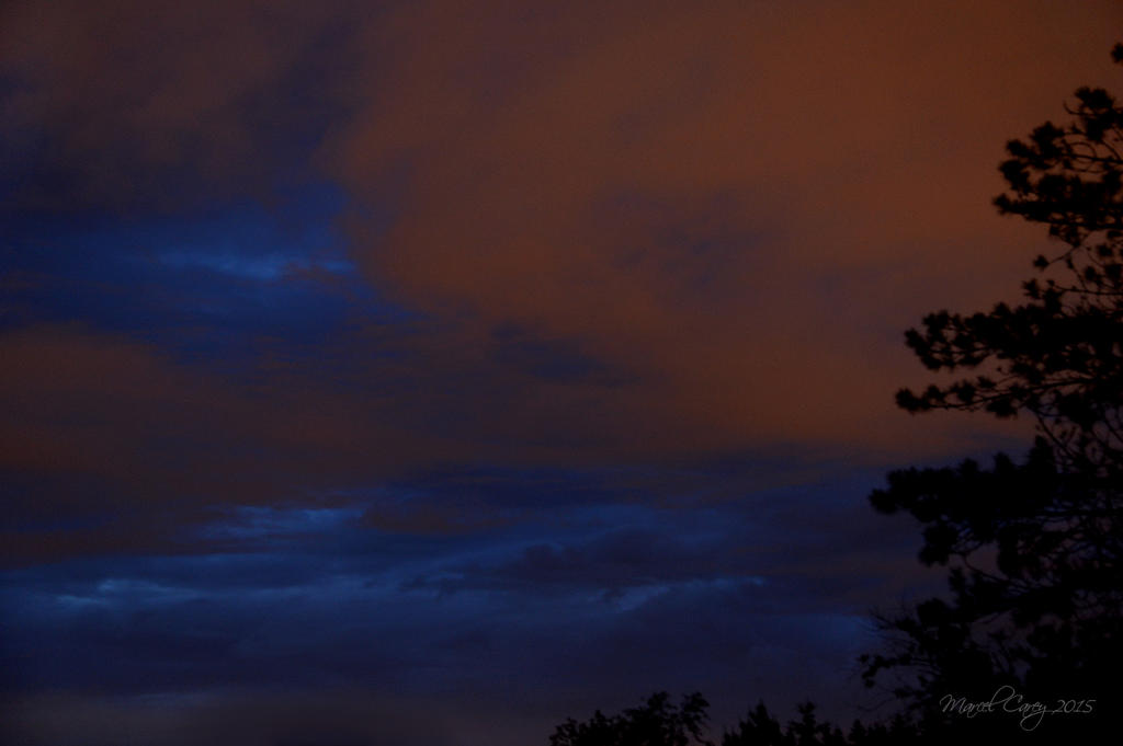 night sky.jpg