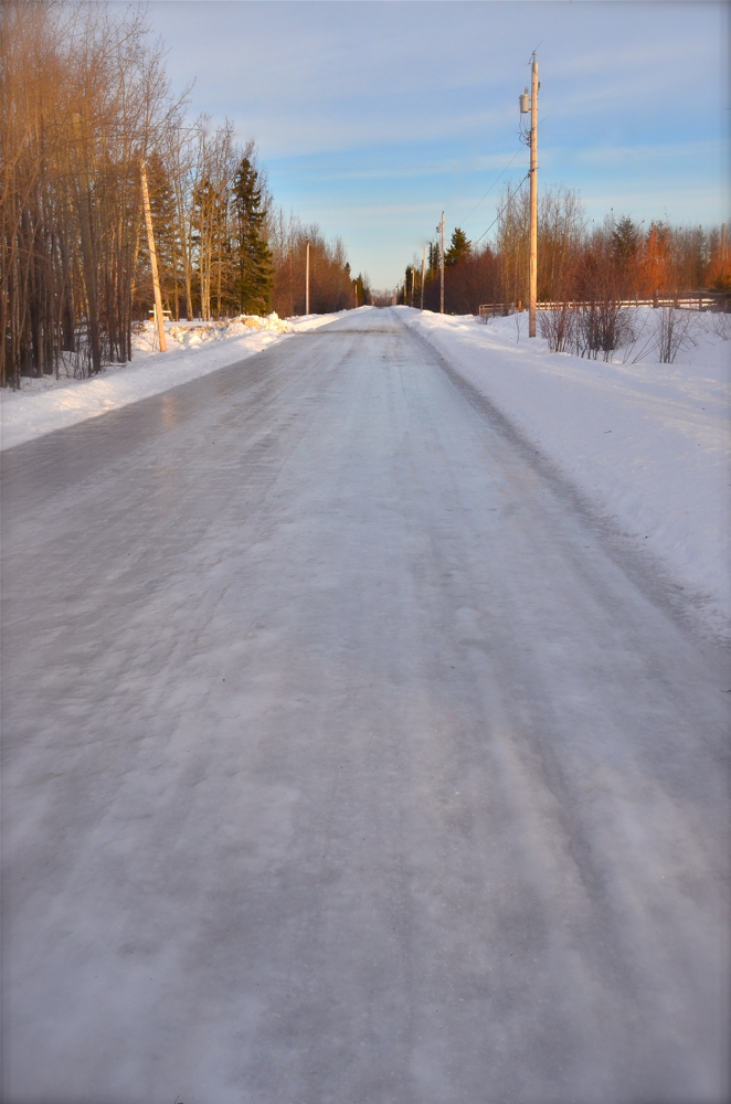 NIK_0554.jpg