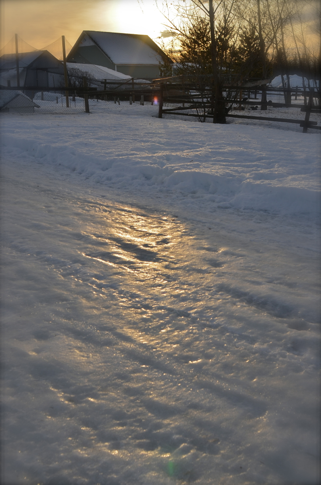 NIK_0557.jpg