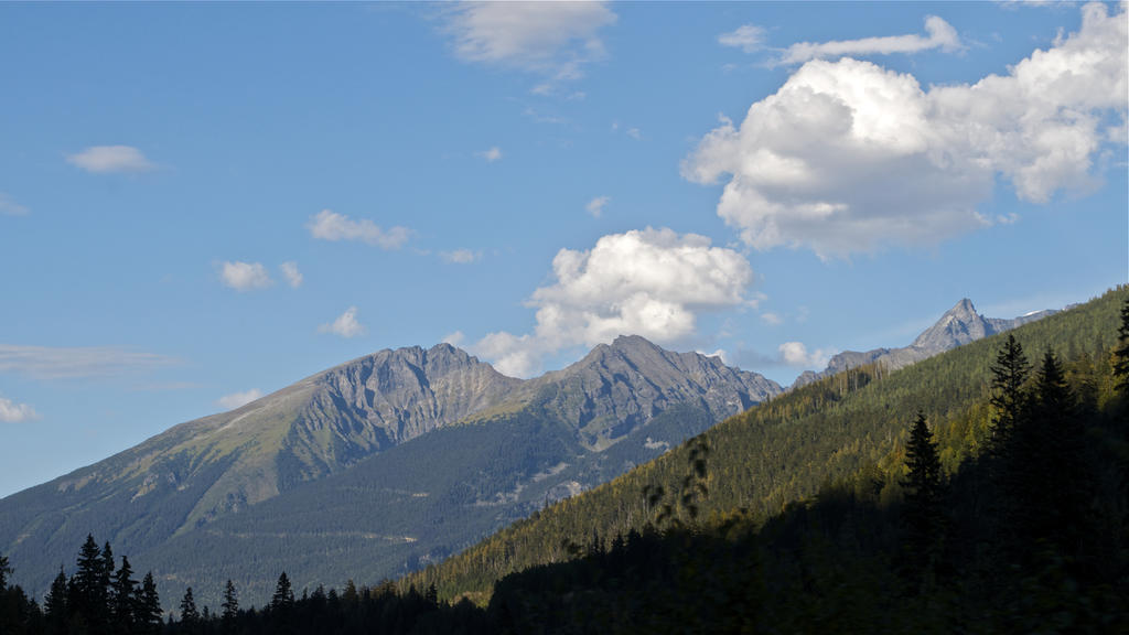 NIK_4422.jpg