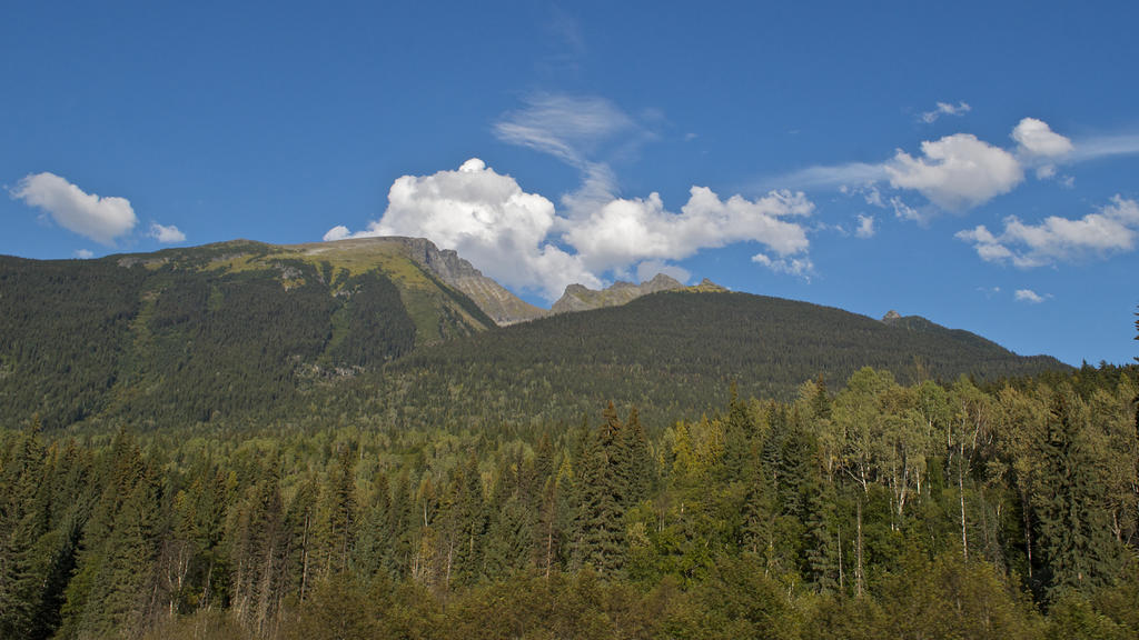 NIK_4432.jpg