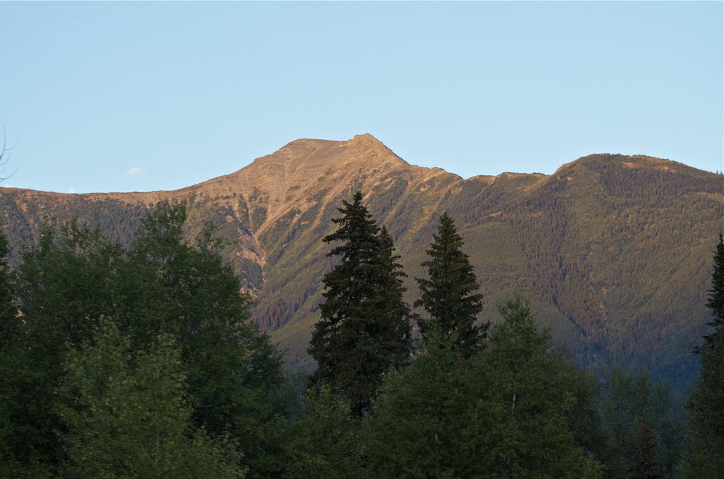 NIK_4560.jpg