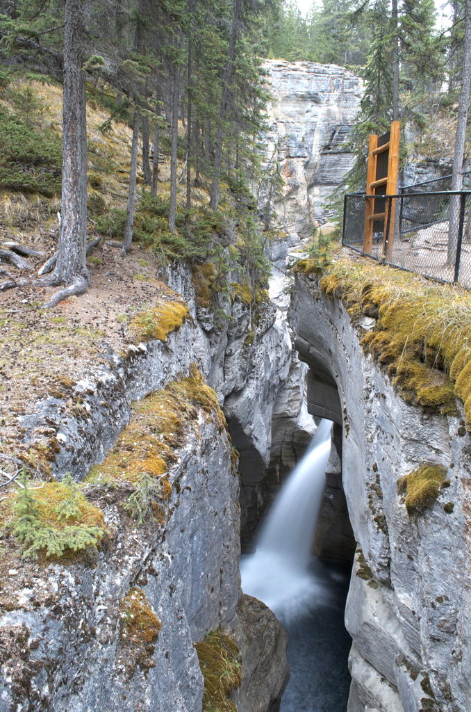 NIK_6254.jpg