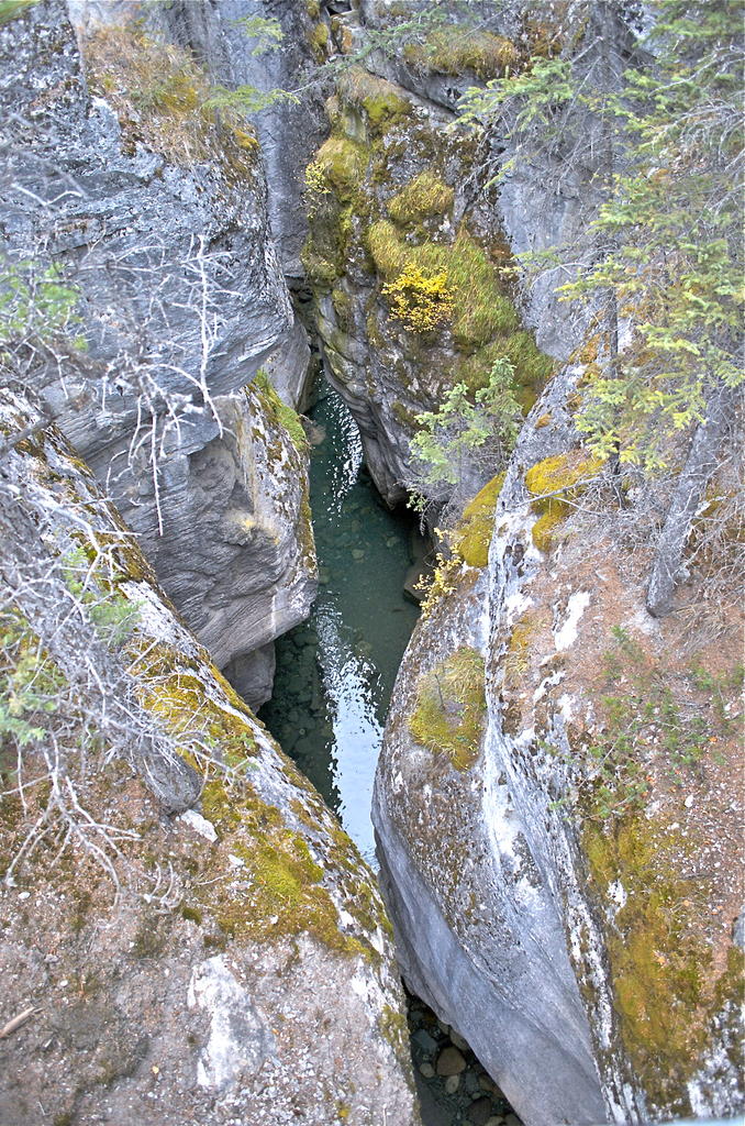 NIK_6304.jpg
