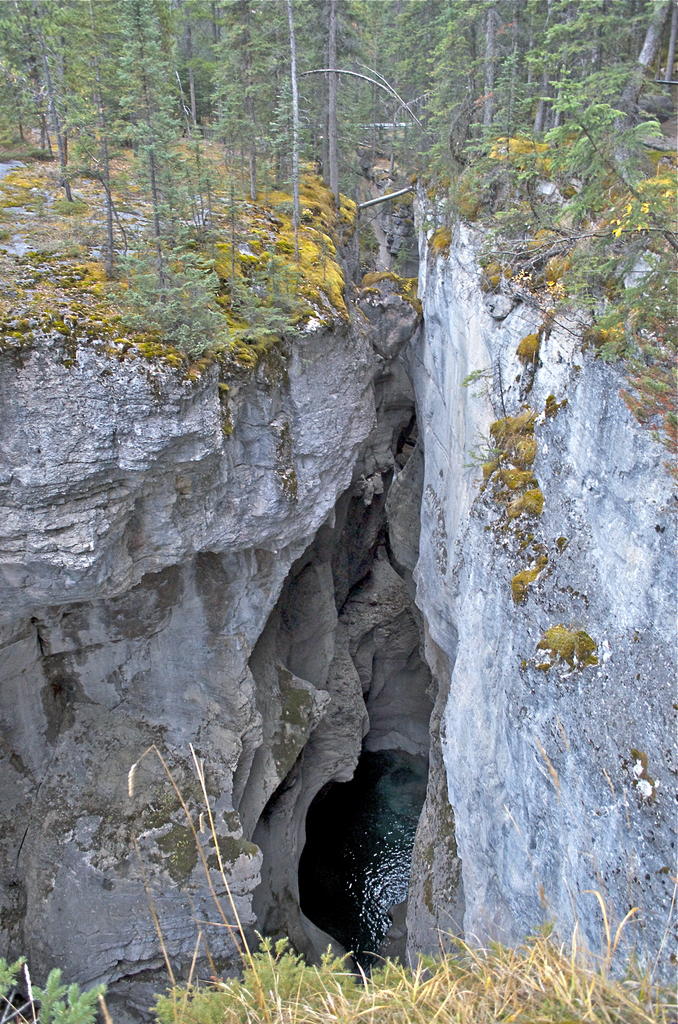NIK_6381.jpg