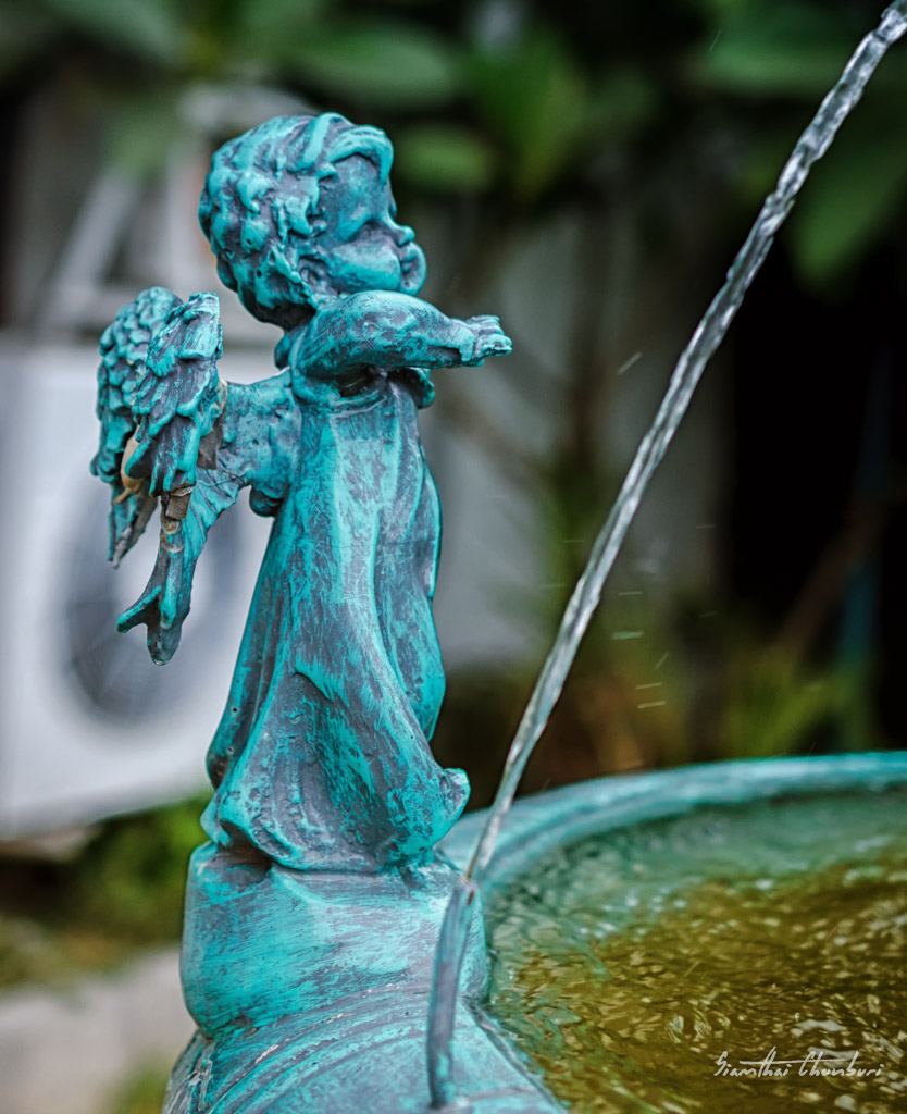 Nikon-40-mm-2.8-1.jpg