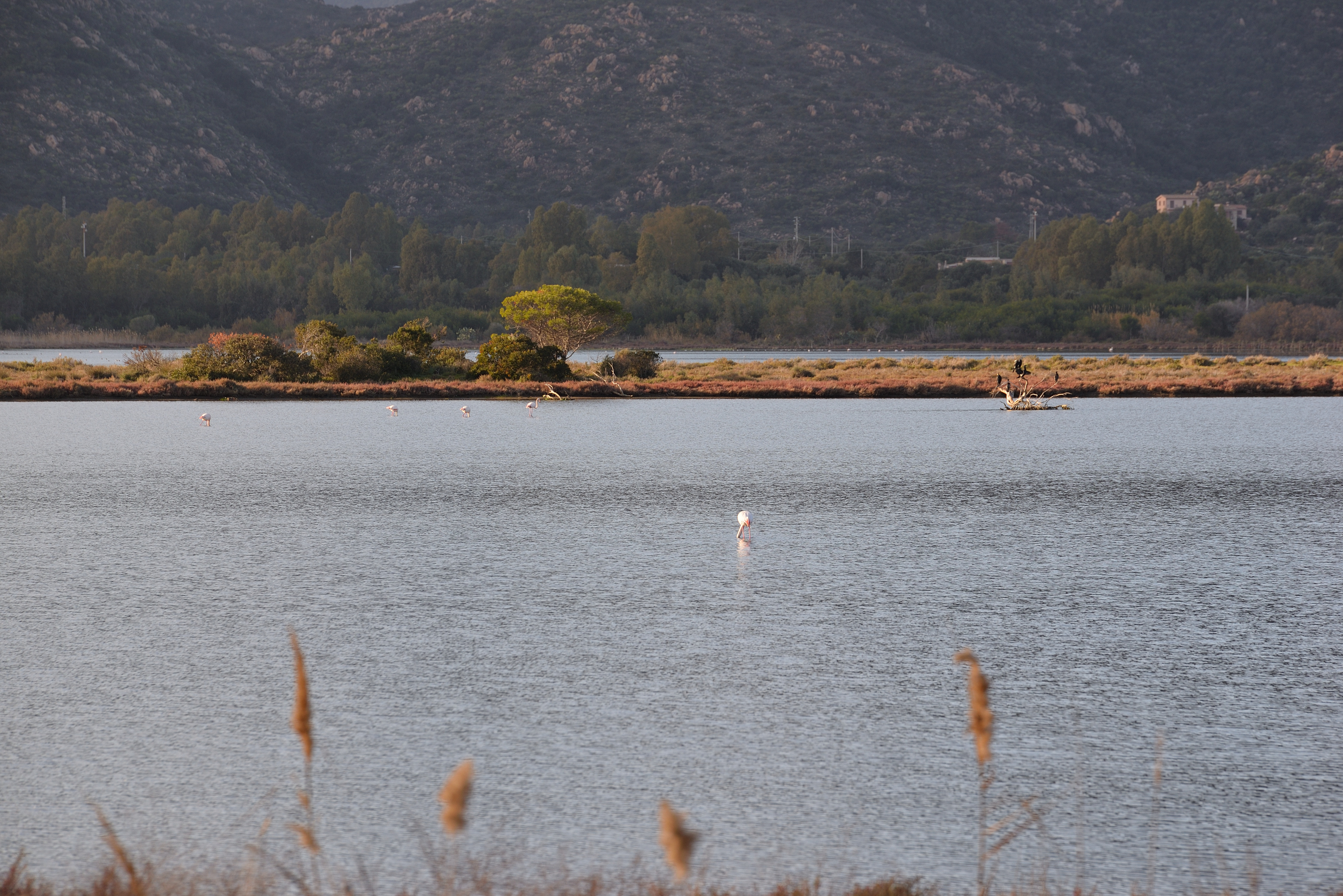 NIKON CORPORATION NIKON D610 6080x4028_000001.JPG