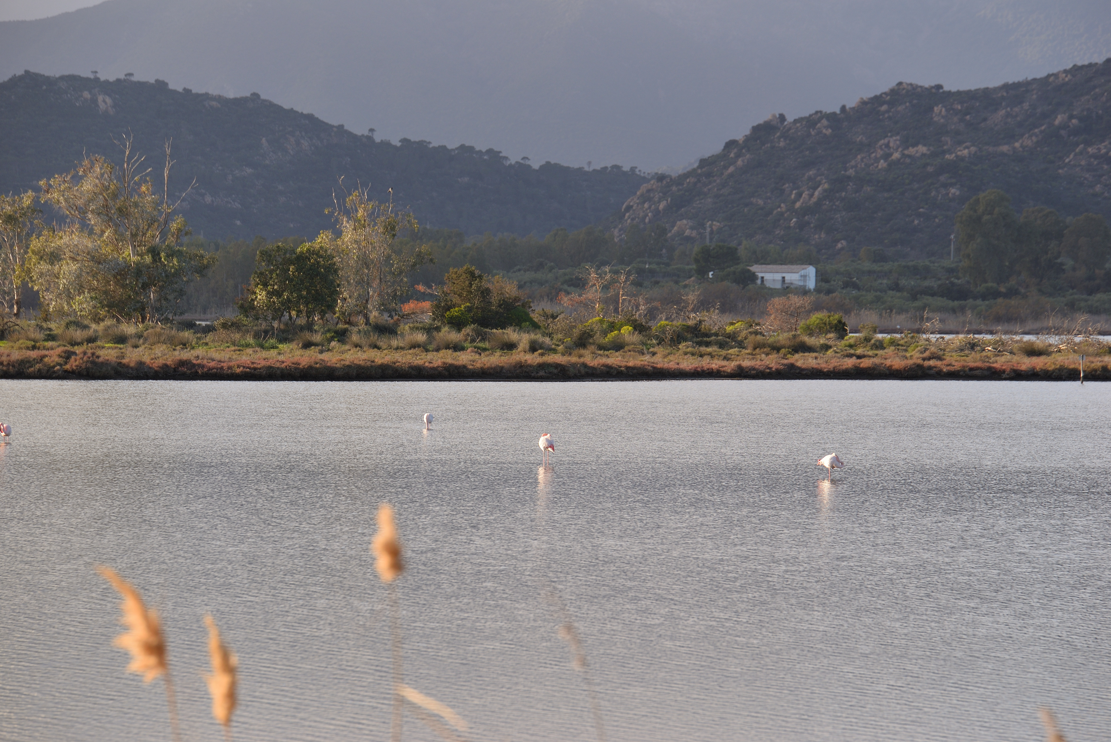 NIKON CORPORATION NIKON D610 6080x4028_000003.JPG