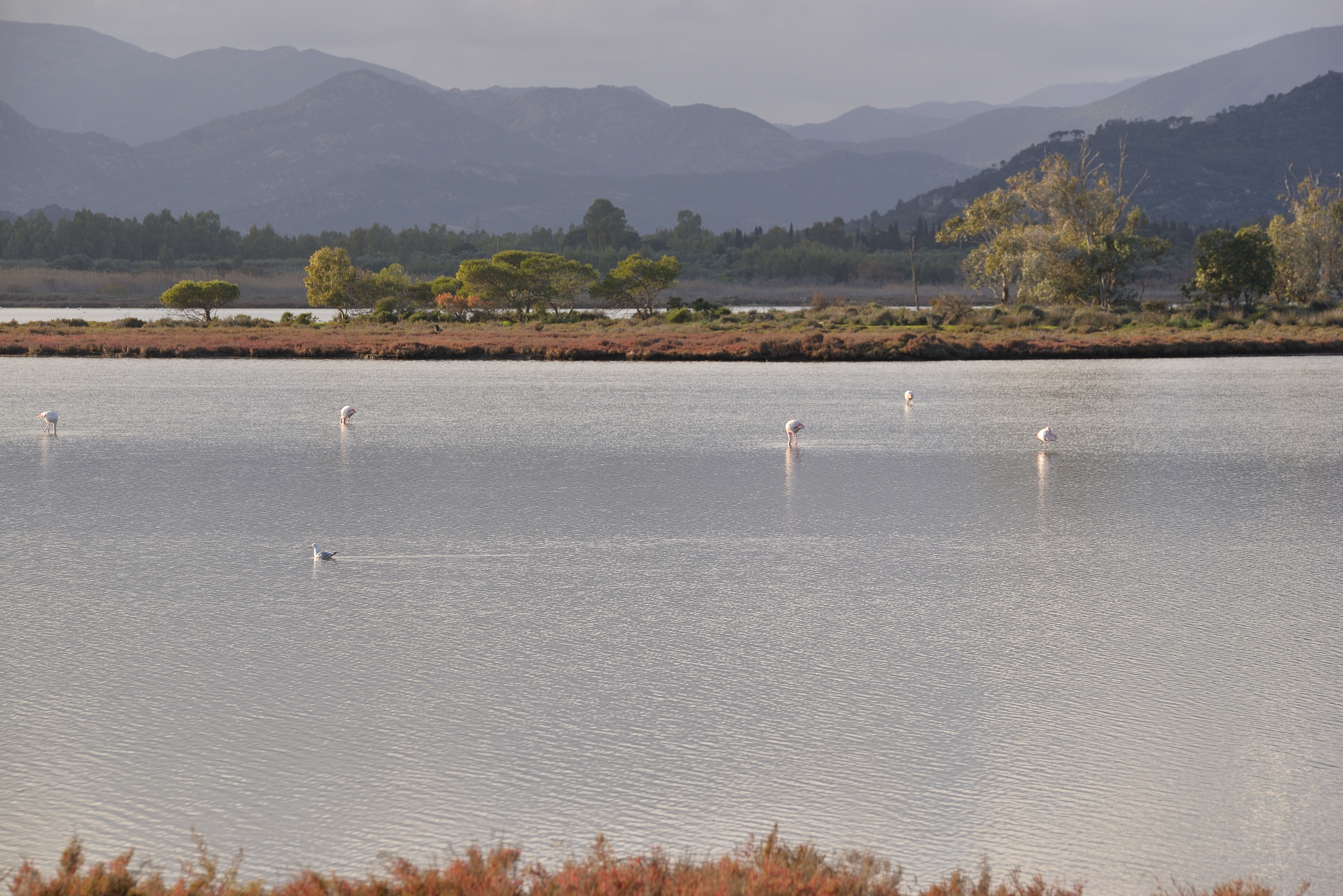 NIKON CORPORATION NIKON D610 6080x4028_000004.JPG