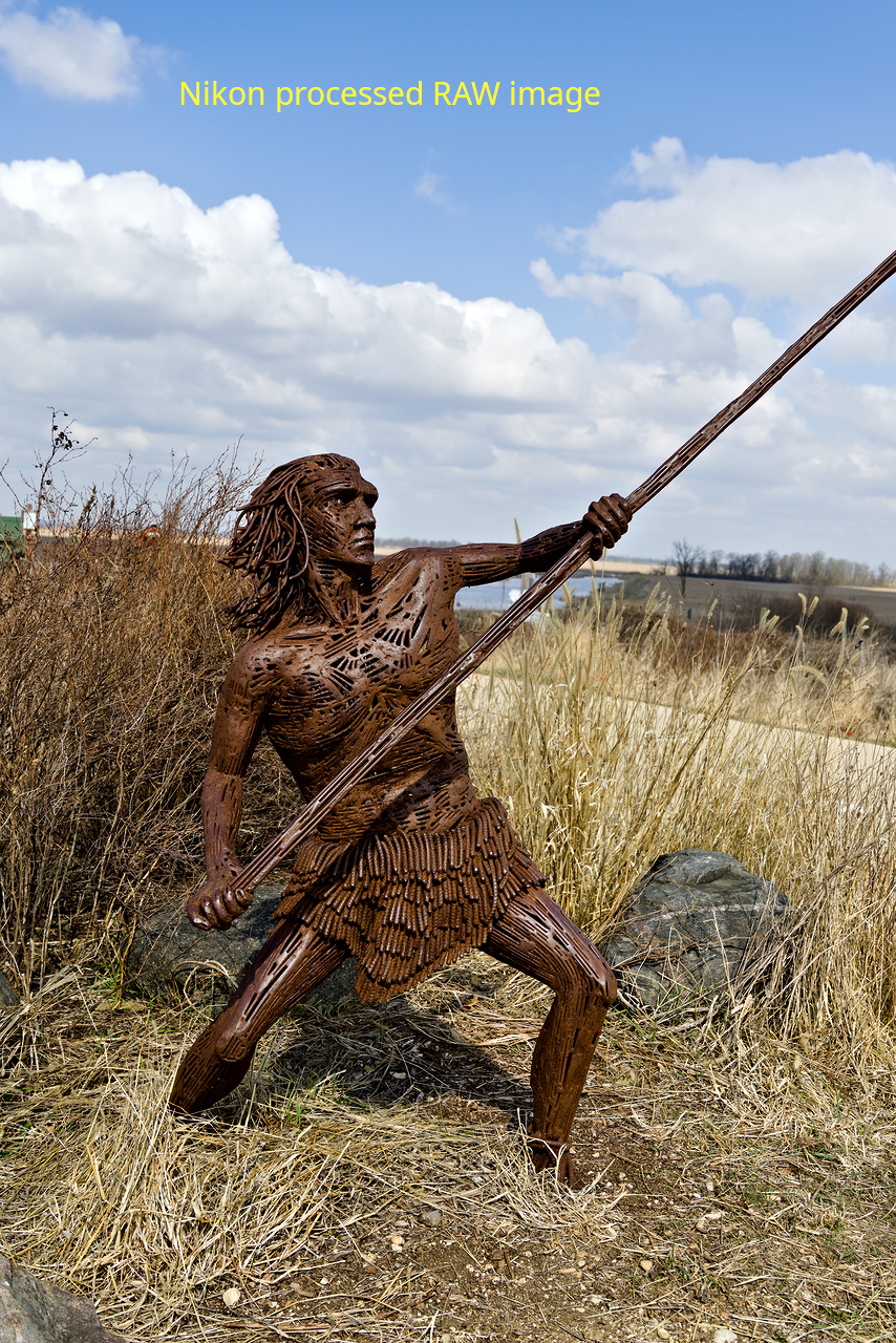 Nikon Raw Sculpture1.jpg