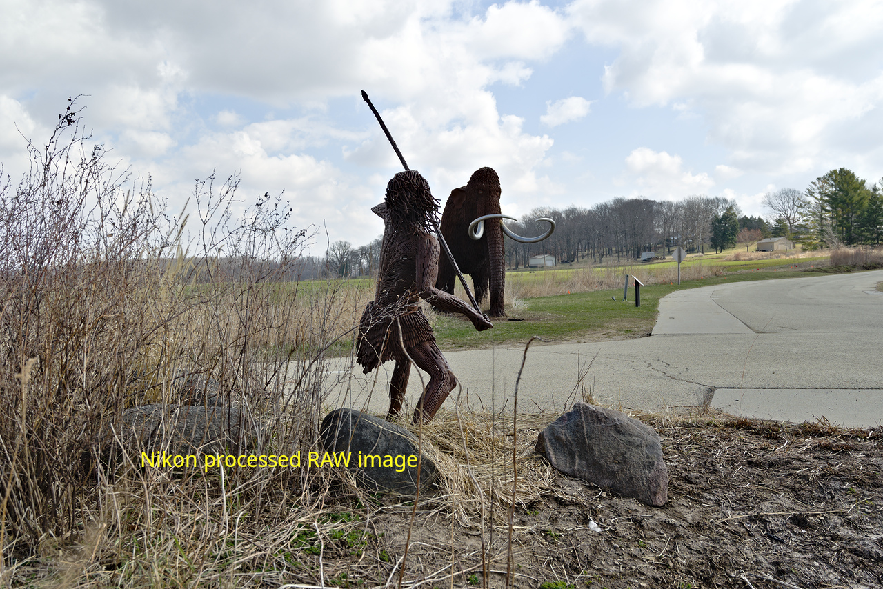 Nikon RAW Sculpture2.jpg