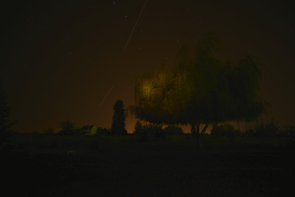 NITE 009.jpg