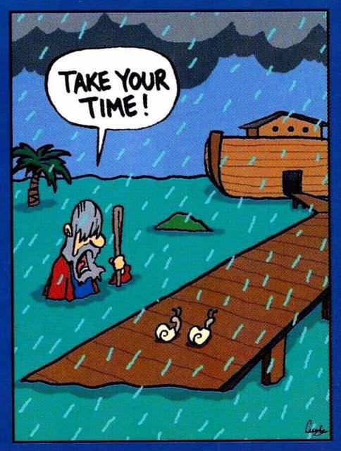 noah.jpg