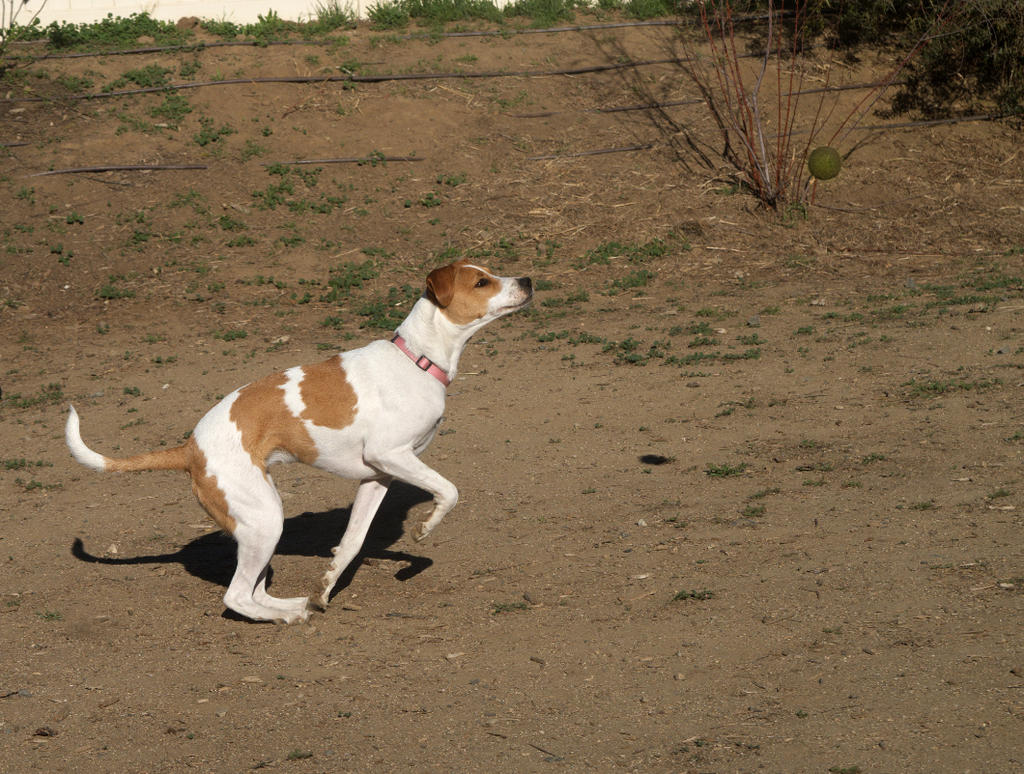Nola Mae N cropped_5006528.jpg