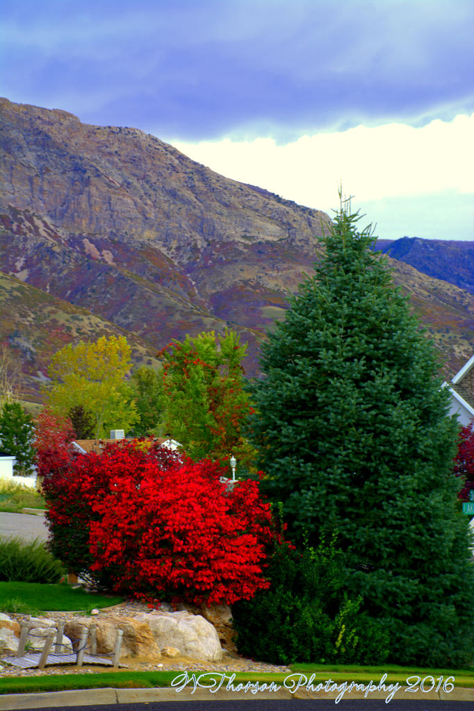 North Ogden #2 10-17-2016.jpg
