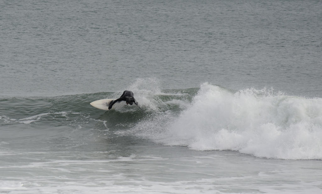 nose down_00003.jpg