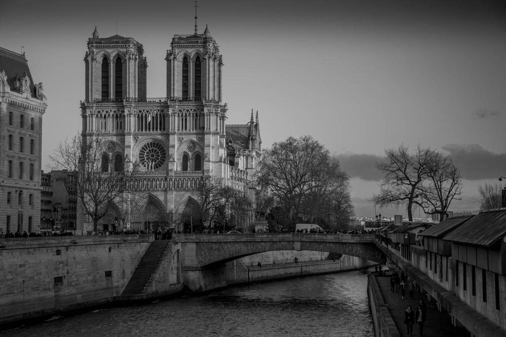 Notre dame.jpg