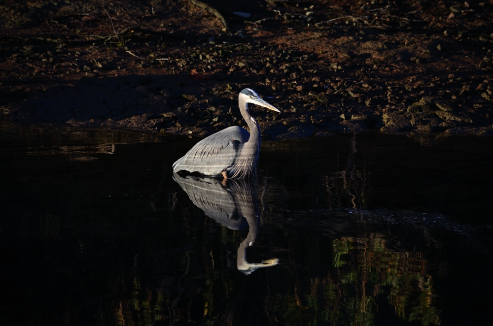 Nov 14th 2013_1 203.JPG