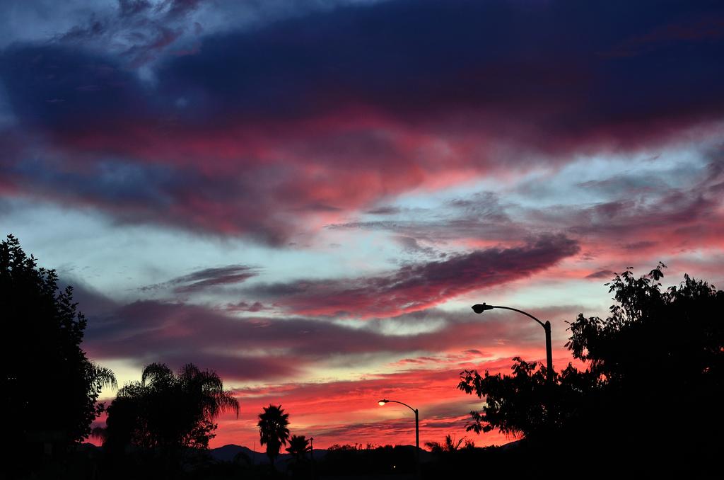 Nov 14th 2013_1 274.jpg