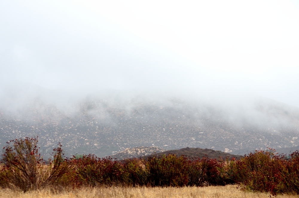 Nov 16th 2013 033.JPG
