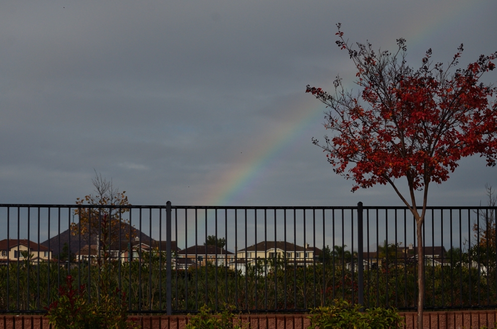Nov 29th 2013 032.JPG