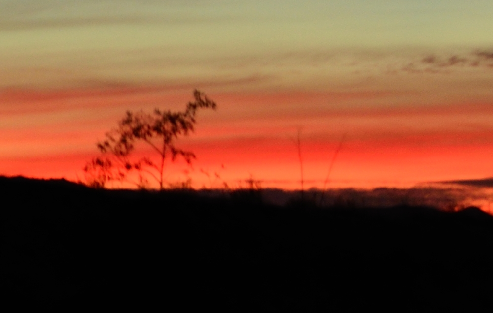 Nov 30th 2013 009_01.JPG