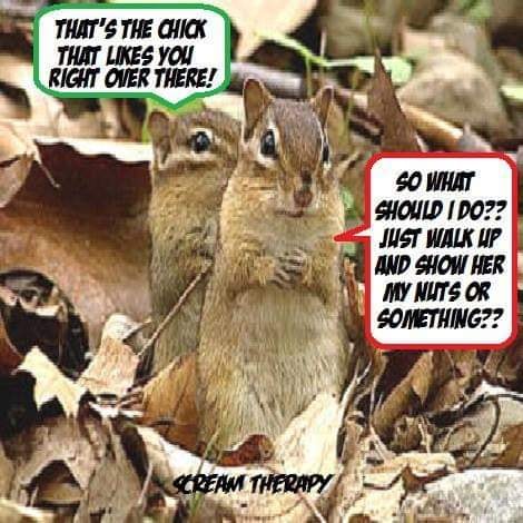 nuts.jpg
