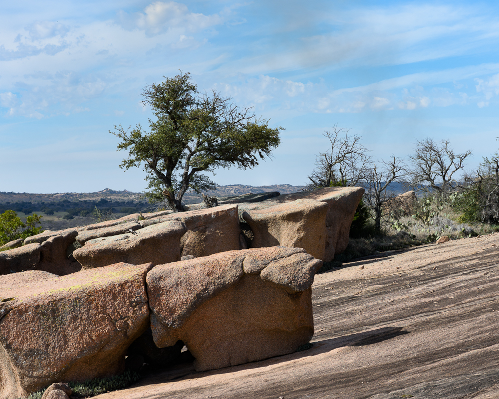 oak in stone-.jpg