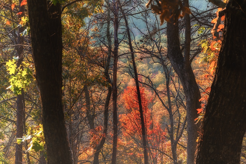 Ocoee--3.jpg