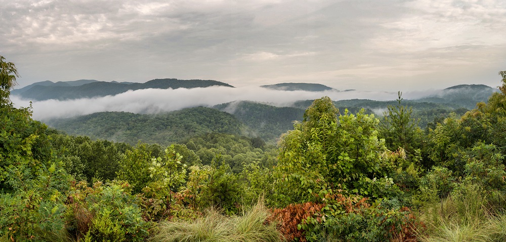 Ocoee River--2.jpg