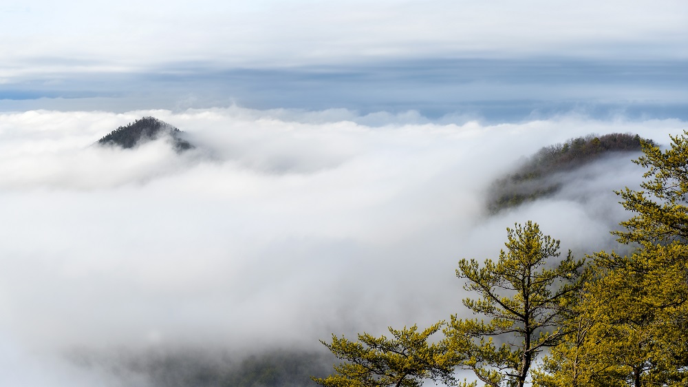 Ocoee River fog--4.jpg