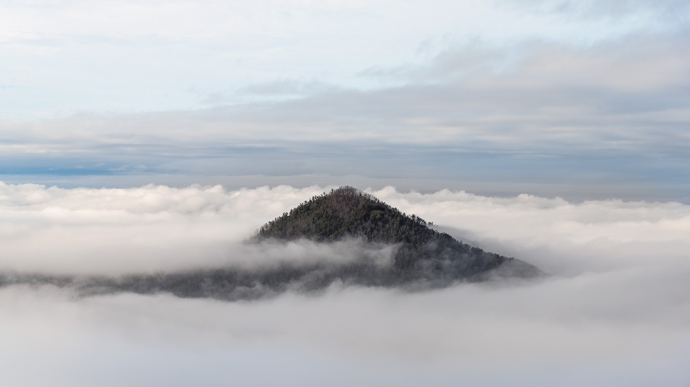 Ocoee River fog--5.jpg