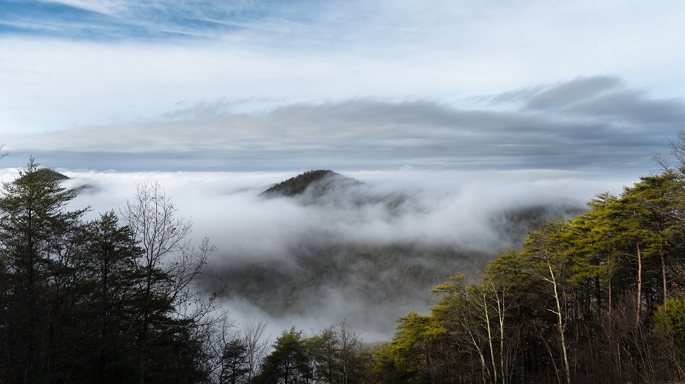 Ocoee River fog--6.jpg