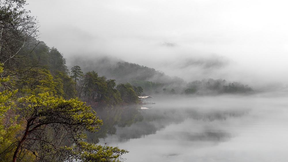 Ocoee River fog-.jpg