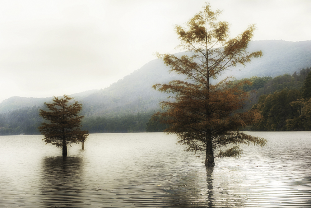 Ocoee River & Mountains--6.jpg