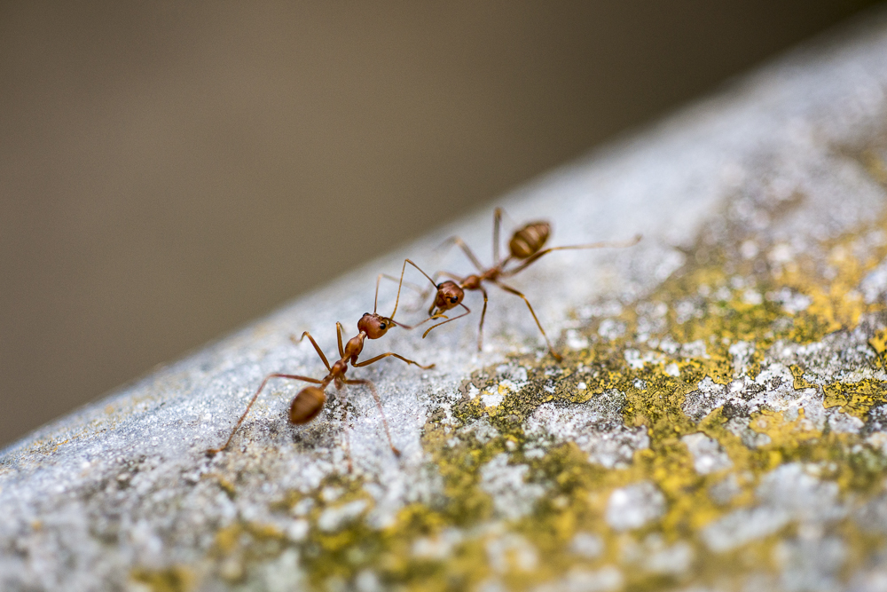 Oct Hiking-27.jpg