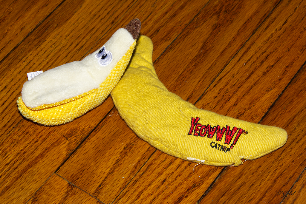Old banana new banana.jpg