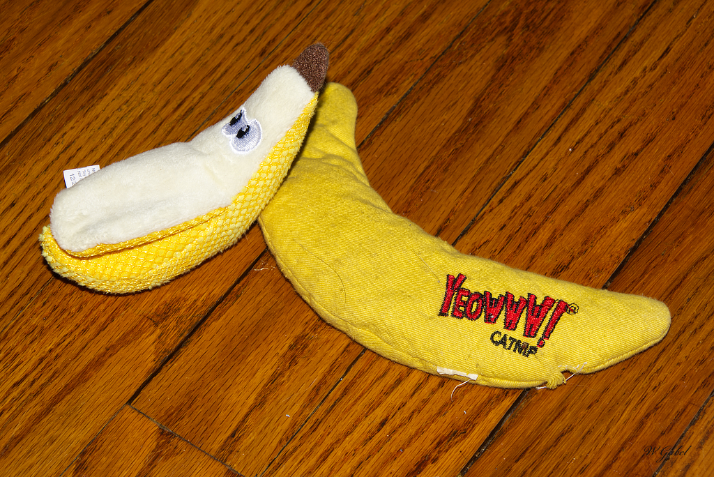 old-banana-new-banana-jpg.386904