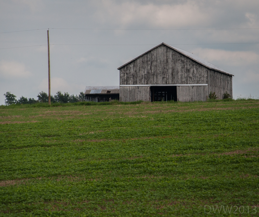 Old Barn (1 of 1).jpg