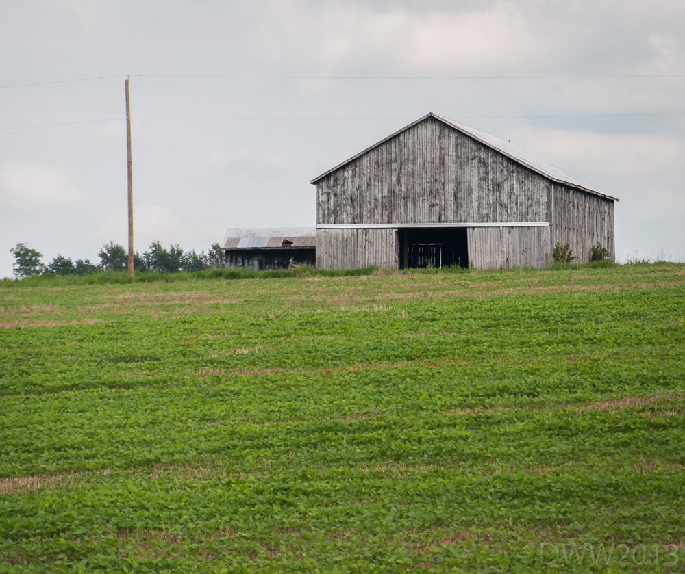 Old Barn1 (1 of 1).jpg