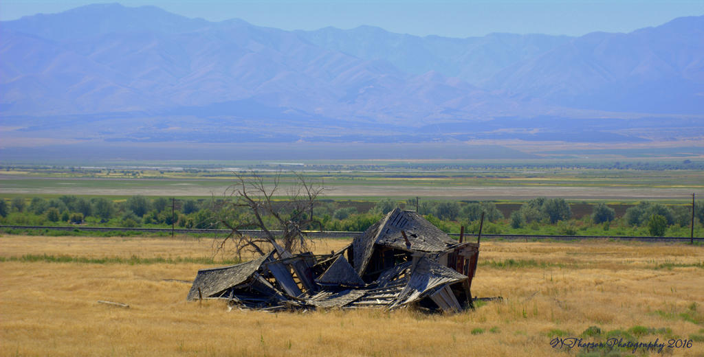 Old Broken House 7-23-2016.jpg