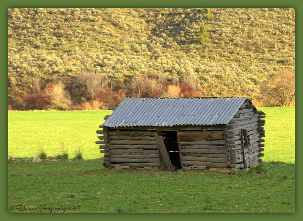 Old Cabin #2 4-16-2016.jpg