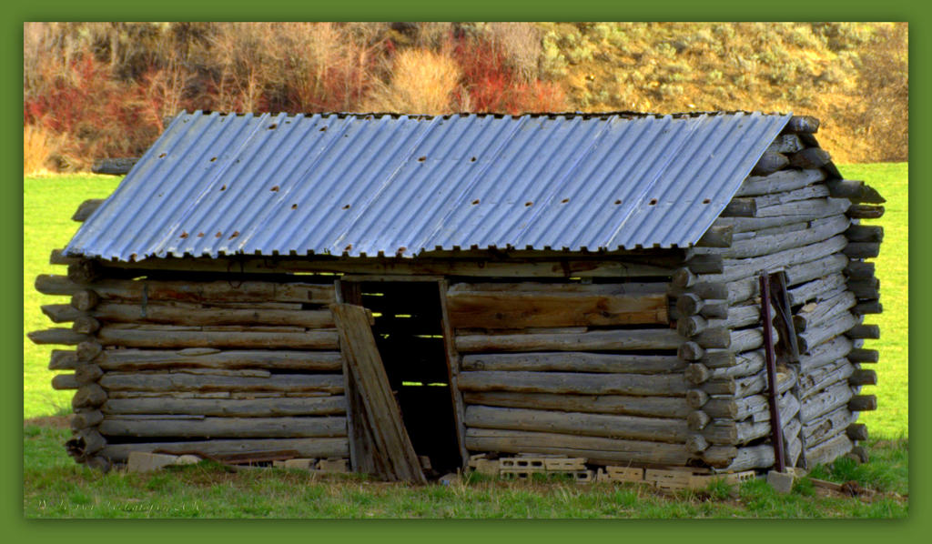 Old Cabin 4-16-2016.jpg