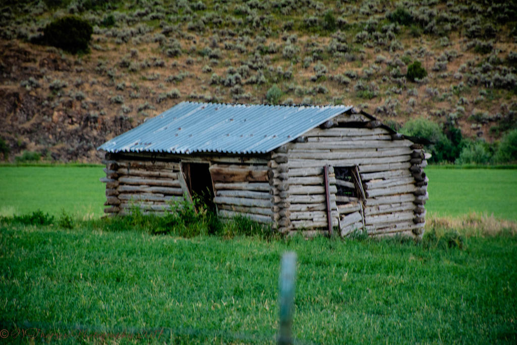 Old Cabin 7-15-2017.jpg