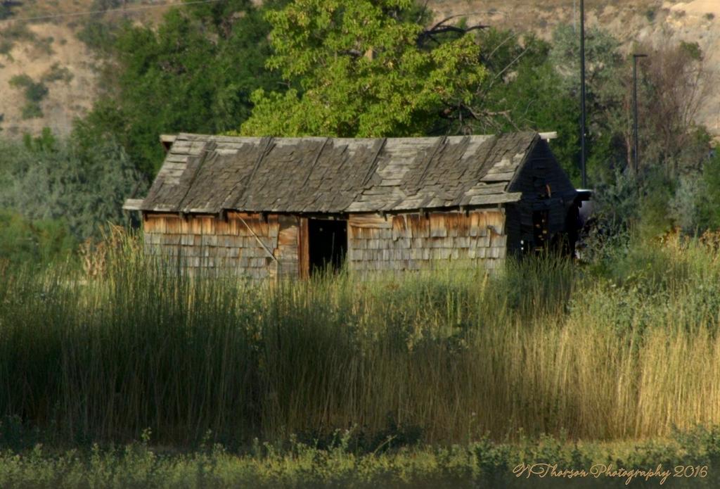 Old House #2 7-22-2016.jpg