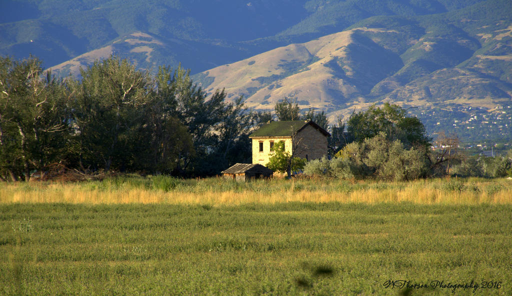 Old House #3 7-22-2016.jpg